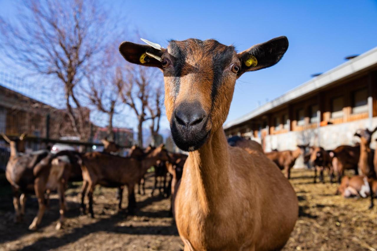Agriturismo La Fiorida Mantello Екстериор снимка